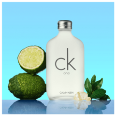 CK One Calvin Klein Eau de Toilette na internet
