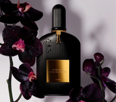 (SOB ENCOMENDA) Black Orchid Eau de Parfum Tom Ford - Day Imports