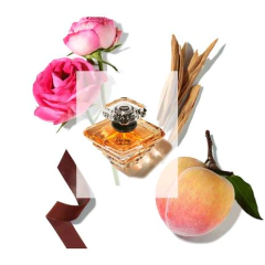 Trésor Lancôme Eau de Parfum - Day Imports