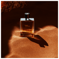 Terre D'Hermès Hermès Eau de Toilette na internet