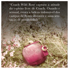 Perfume Wild Rose Eau de Parfum Coach