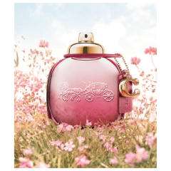 Perfume Wild Rose Eau de Parfum Coach - Day Imports