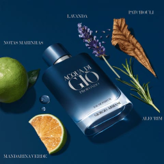 Perfume Acqua Di Giò Profondo Eau de Parfum Giorgio Armani - Day Imports