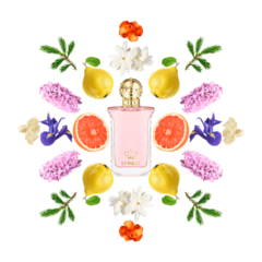 Symbol For a Lady Marina de Bourbon Eau de Parfum na internet
