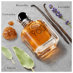 Stronger With You Eau de Toilette Armani - Day Imports