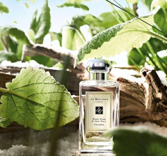 (SOB ENCOMENDA) Wood Sage & Sea Salt Cologne Jo Malone London