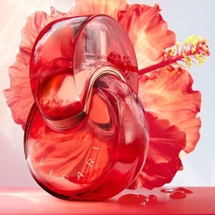Omnia Coral Bvlgari Eau de Toilette - Day Imports