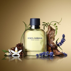 Pour Homme Dolce & Gabbana Eau de Toilette - Day Imports