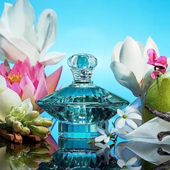 Curious Britney Spears Eau de Parfum na internet