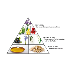 Perfume L'Aventure Blanche Eau de Parfum Al Haramain - Day Imports