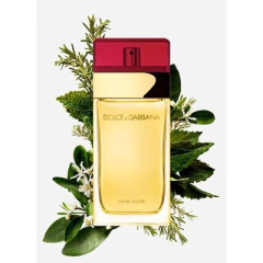 Imagem do Perfume Dolce & Gabbana Eau de Toilette Dolce & Gabbana