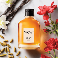 Wow! Joop! Eau de Toilette - Day Imports