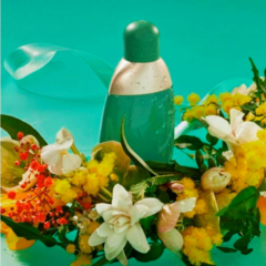 Eden Eau de Parfum Cacharel - Day Imports