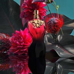 Imagem do La Belle Le Parfum Jean Paul Gaultier Eau de Parfum Intense
