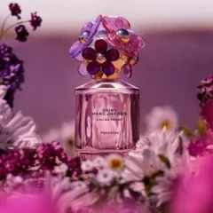 Daisy Paradise Limited Edition Eau de Toilette Marc Jacobs - Day Imports
