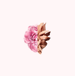 Irrésistible Givenchy Eau de Toilette na internet