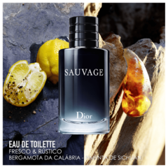 Sauvage Dior Eau de Toilette - comprar online