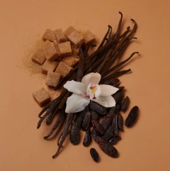 (SOB ENCOMENDA) Perfume Vanilla | 28 Eau de Parfum Kayali na internet