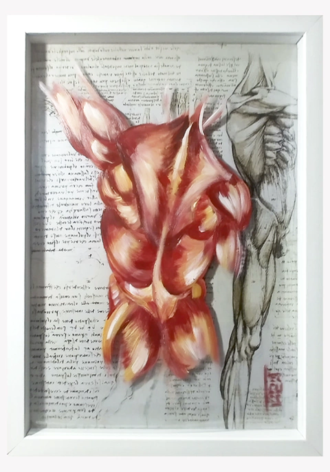 Pintura original; Anatomia Musculos costas Coleção Leonardo Da Vinci - comprar online