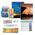 Kit Escolar Universitario Secundaria con Cartuchera Dorada y Cuadernos - comprar online