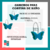 Combo Butterfly - Yasu Productos