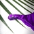 CALCINHA FIXA COM REGULADORES - PURPLE GLOW na internet