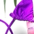 Imagem do TOP CORTININHA - PURPLE GLOW