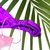 CALCINHA FIXA COM REGULADORES - PURPLE GLOW na internet