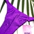 Imagem do CALCINHA FIXA COM REGULADORES - PURPLE GLOW