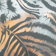 Calça Jogger Assis Em Fluity - loja online