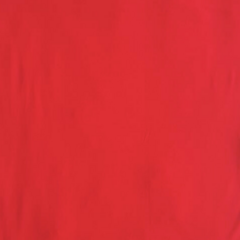 Imagem do Blusa Vitorinha Lisa em Viscolycra