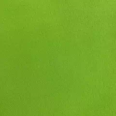 Camiseta Marajó Mulett Em Viscolycra na internet