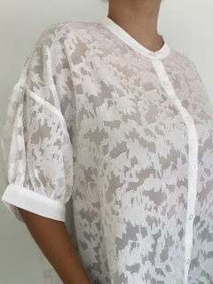 BLUSA en internet