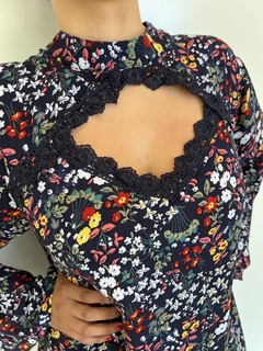 BLUSA en internet