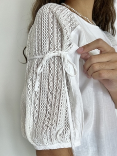 BLUSA en internet