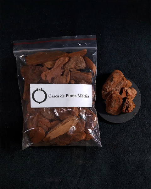Casca Pinus média para texturizar cenários bases e dioramas