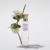 Adolfo Dominguez Gardenia Agua Fresca Musk EDT x 120 ml. - tienda online