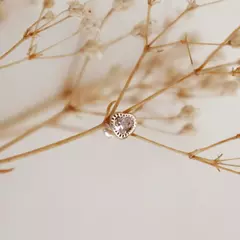 Broquel de oro 10kilates - LA MARQUESITA JOYERIA