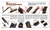 MONTAJE TACTICO PIACATINNI RUGER 10/22 UTG - Gun Store Ar