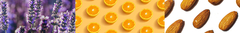 Banner da categoria CORPORAL