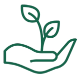 SAUDÁVEL E SUSTENTÁVEL