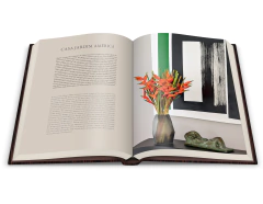 Imagem do FABIO MOROZINI