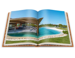 Imagem do DAVID BASTOS III