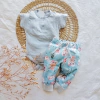 Conjunto | Jacinto