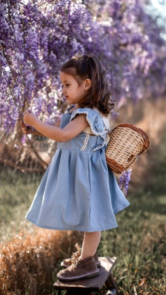 Vestido | Amelia - comprar online