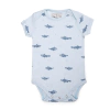 Body | Ciro