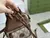 Imagem do Bolsa Gucci Importada