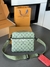 Bolsa Louis Vuitton na internet