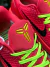 Imagem do Nike Kobe 6