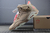 Imagem do Travis Scott x Air Jordan 6